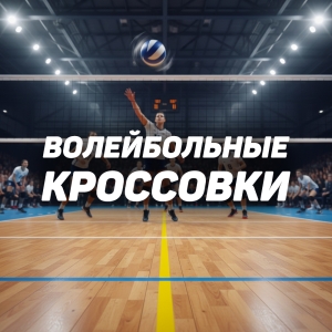 Волейбольные кроссовки